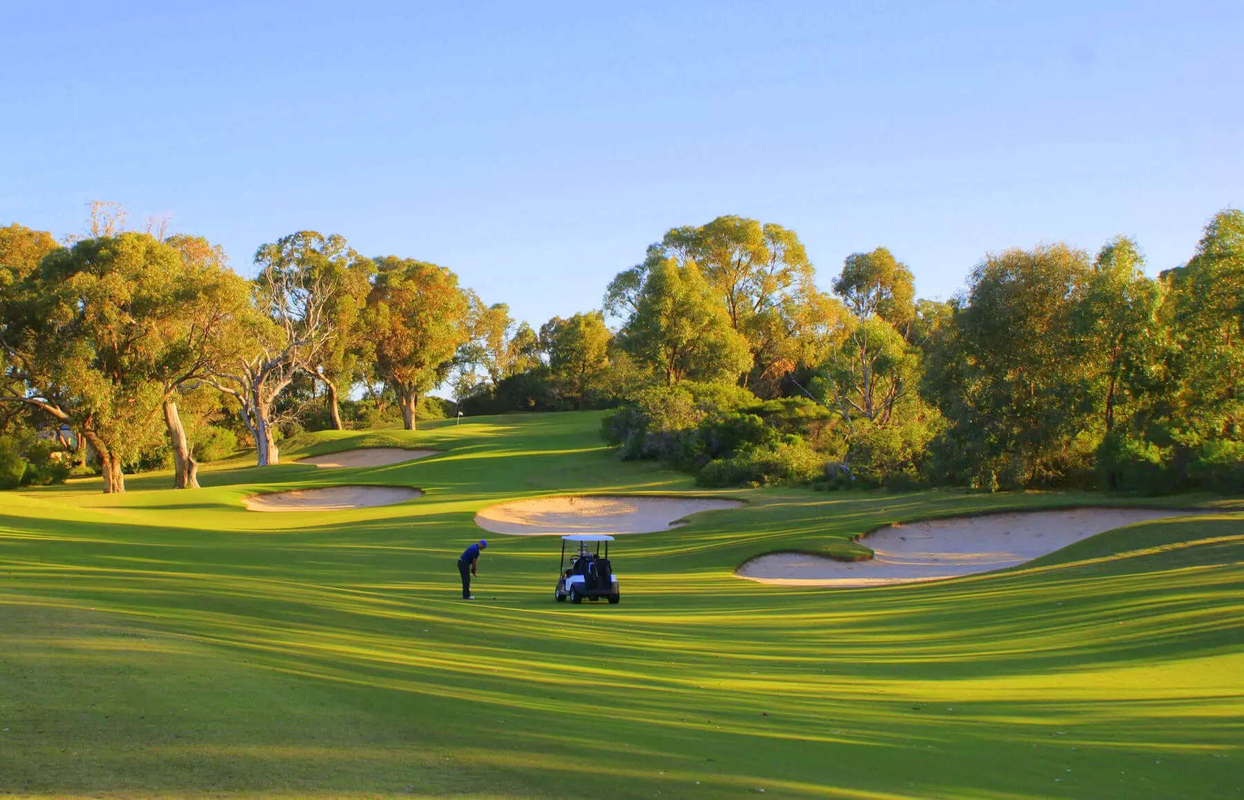 Meadow Springs Golf and Country Club Mandurah